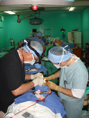 TabansPage/DSC03876.JPG